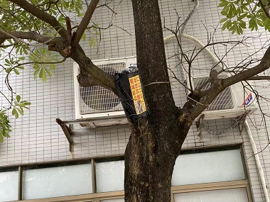 三洲验收白蚁机构园林绿化灭治白蚁的方法