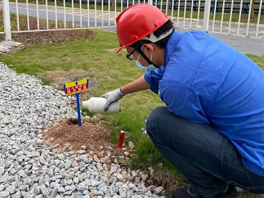 新圩红火蚁备案中心消灭红火蚁的方法